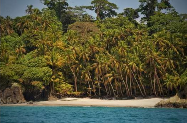 Gorgona es reconocida como la "Isla Ciencia", por la gran cantidad de información que proporciona. Foto: Ministerio de Ambiente
